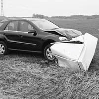 2024_02_27_Bild3.jpg